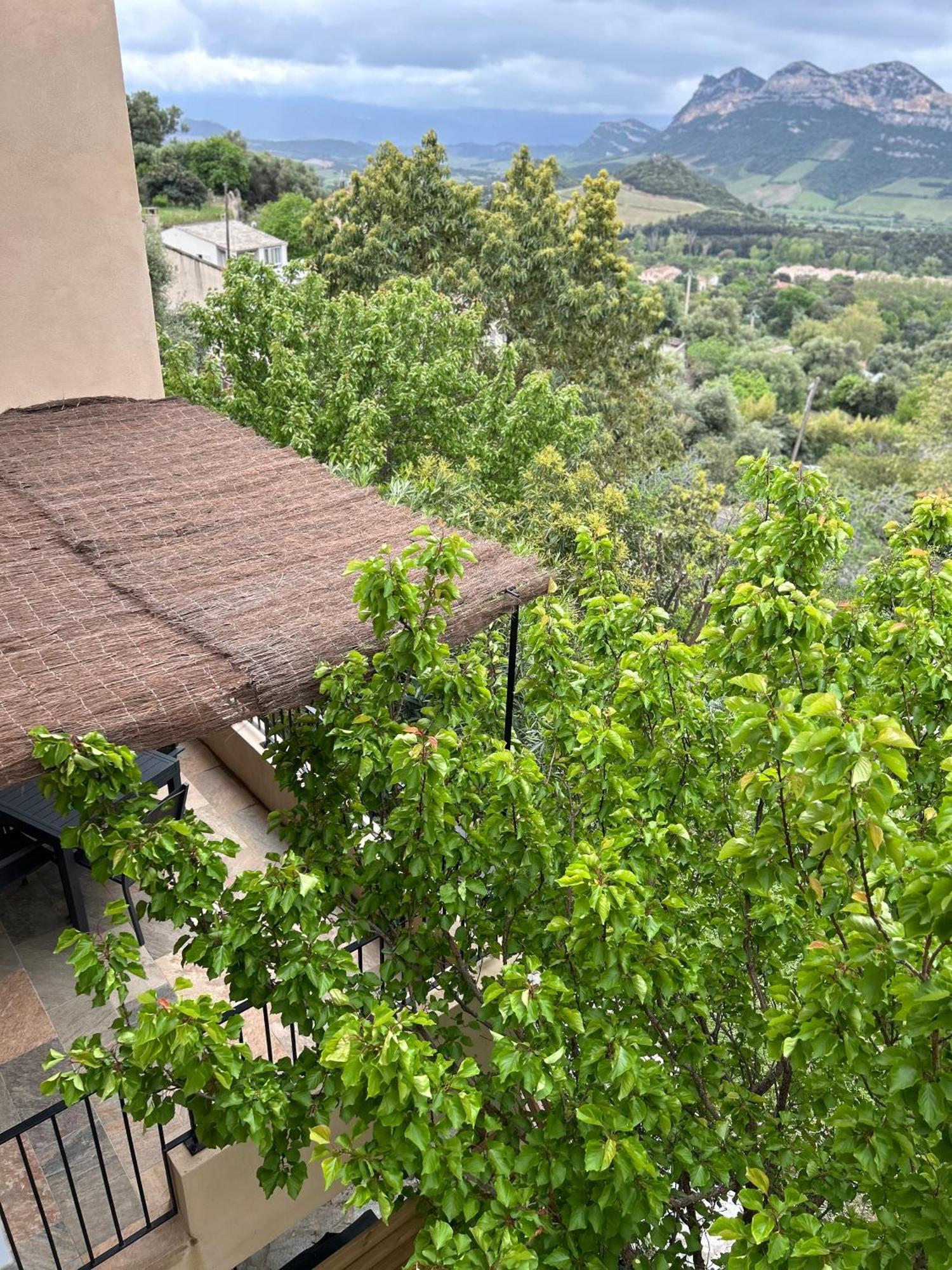 הוילה פטרימוניו Casa San Matteu מראה חיצוני תמונה
